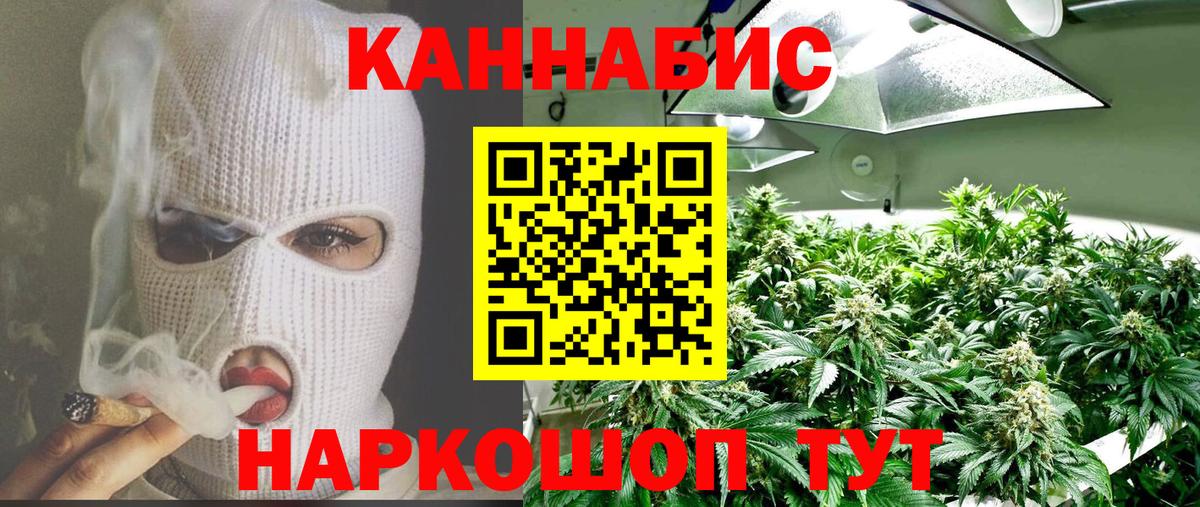 Конопля планчик Ачинск